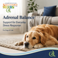 Sustenance Herbs Adrenal Balance