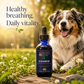 Sustenance Herbs KC Respiratory | Organic Herbal Lung & Respiratory Support