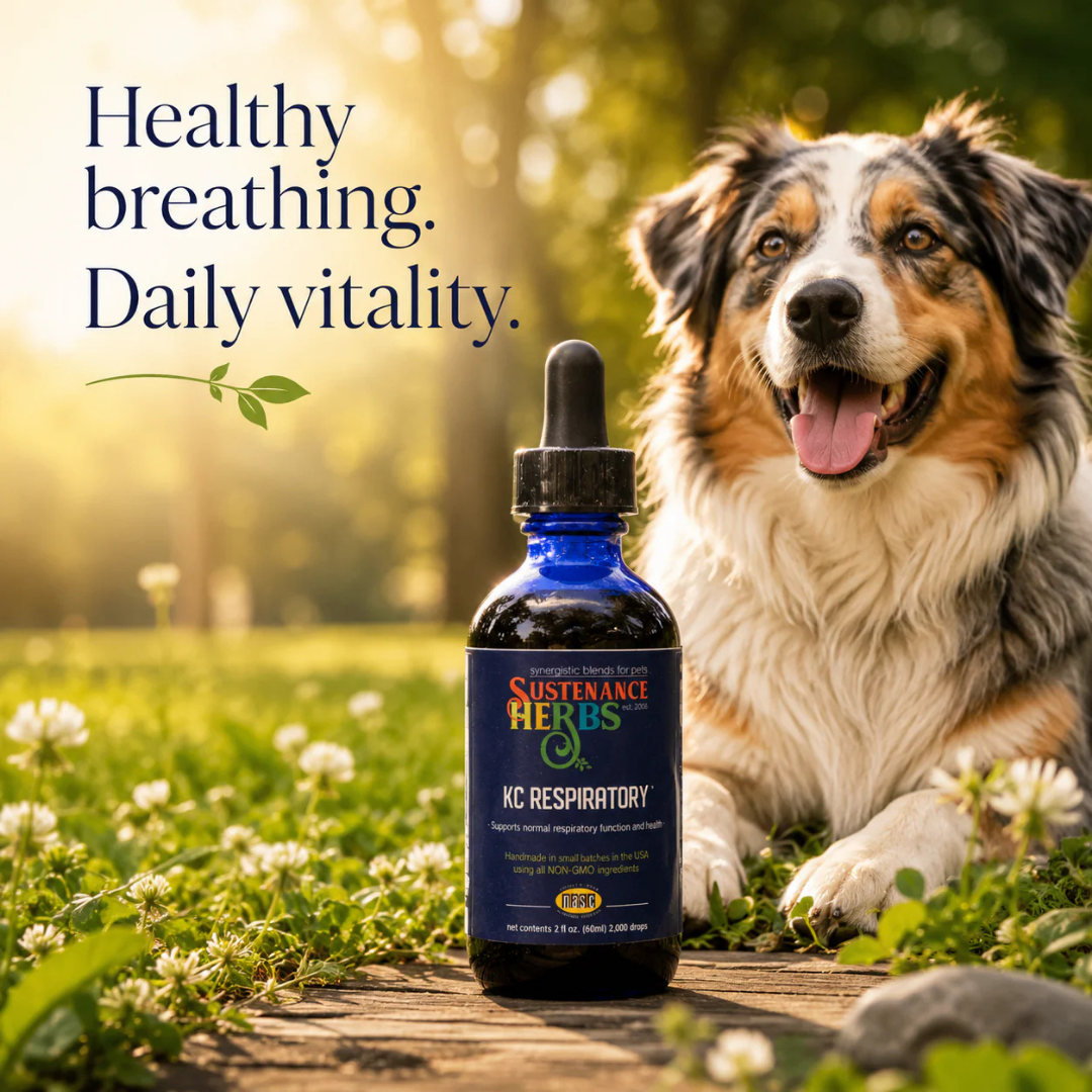 Sustenance Herbs KC Respiratory | Organic Herbal Lung & Respiratory Support