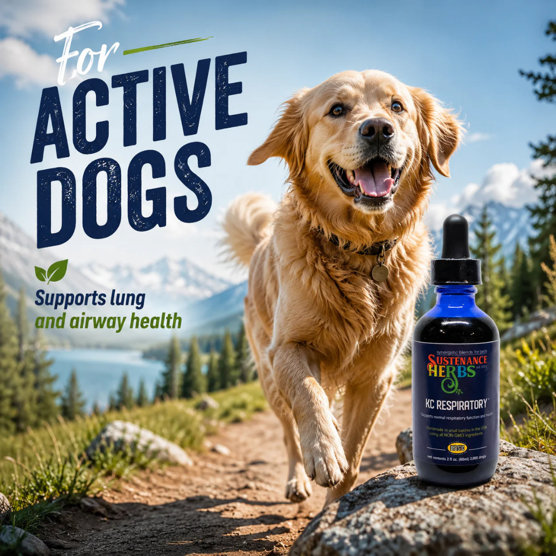 Sustenance Herbs KC Respiratory | Organic Herbal Lung & Respiratory Support