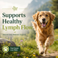 Sustenance Herbs Lymphatic Mover | Organic Herbal Lymphatic Drainage & Detox