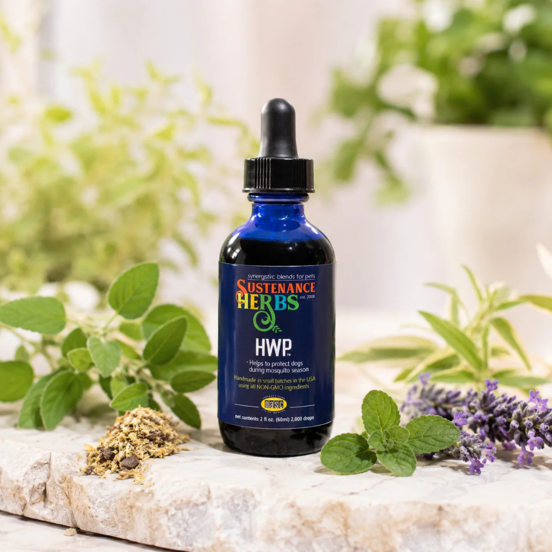 Sustenance Herbs HWP Tincture | Seasonal Herbal Heartworm Support