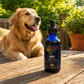 Sustenance Herbs HWP Tincture | Seasonal Herbal Heartworm Support