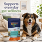 Sustenance Herbs Pet-Riodontal | Oral Probiotic Powder