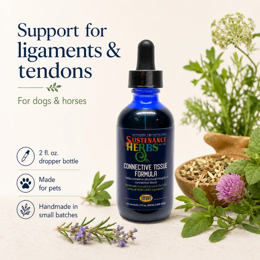 Sustenance Herbs Connective Tissue Formula | Natural ACL and CCL Support