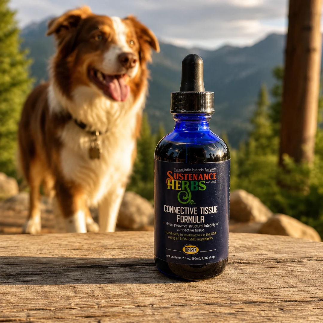 Sustenance Herbs Connective Tissue Formula | Natural ACL and CCL Support
