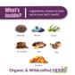 Amber Naturalz Vibactra Plus | Natural Immune Support