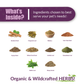 Amber Naturalz Tumoxil | Skin Detox + Lipoma Support