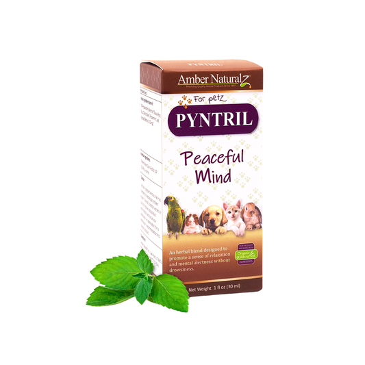 Peaceful Mind | Calming Support for Stress + Anxiety