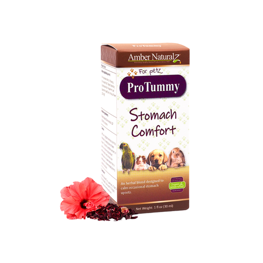 Protummy | Natural Digestive Support