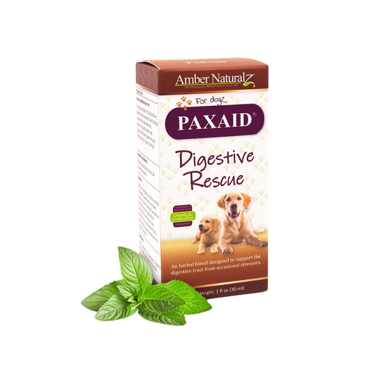 Paxaid | Natural Relief for Digestive Upset +Discomfort