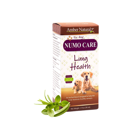 Amber Naturalz Numo Care | Lung + Respiratory Support