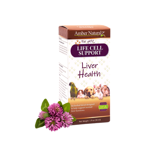 Amber Naturalz Life Cell Support | Liver Support