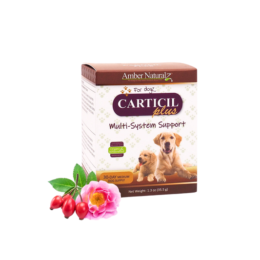 Carticil Plus | Natural Multi-System Whole-Body Antioxidant Support