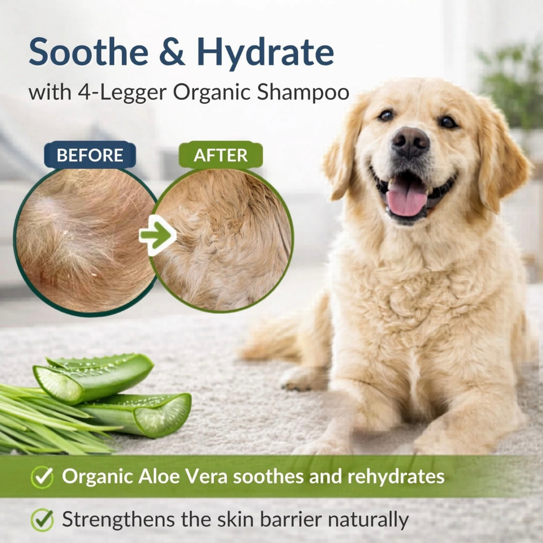 4-Legger Organic Aloe Shampoo | Gentle Care for Sensitive Skin