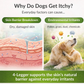 4-Legger Organic Aloe Shampoo | Gentle Care for Sensitive Skin