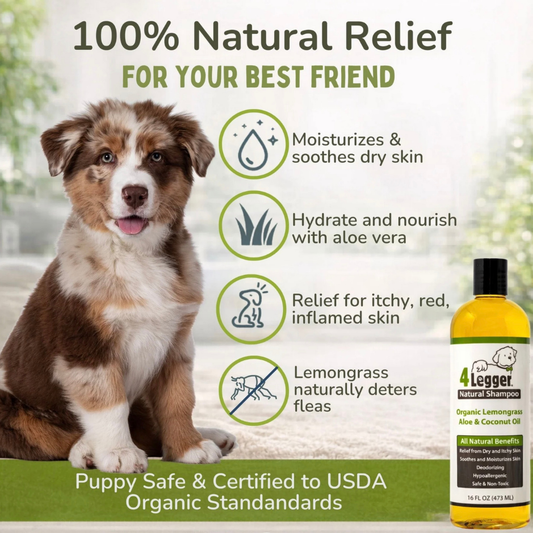 Organic Lemongrass + Aloe Dog Shampoo for Sensitive Skin