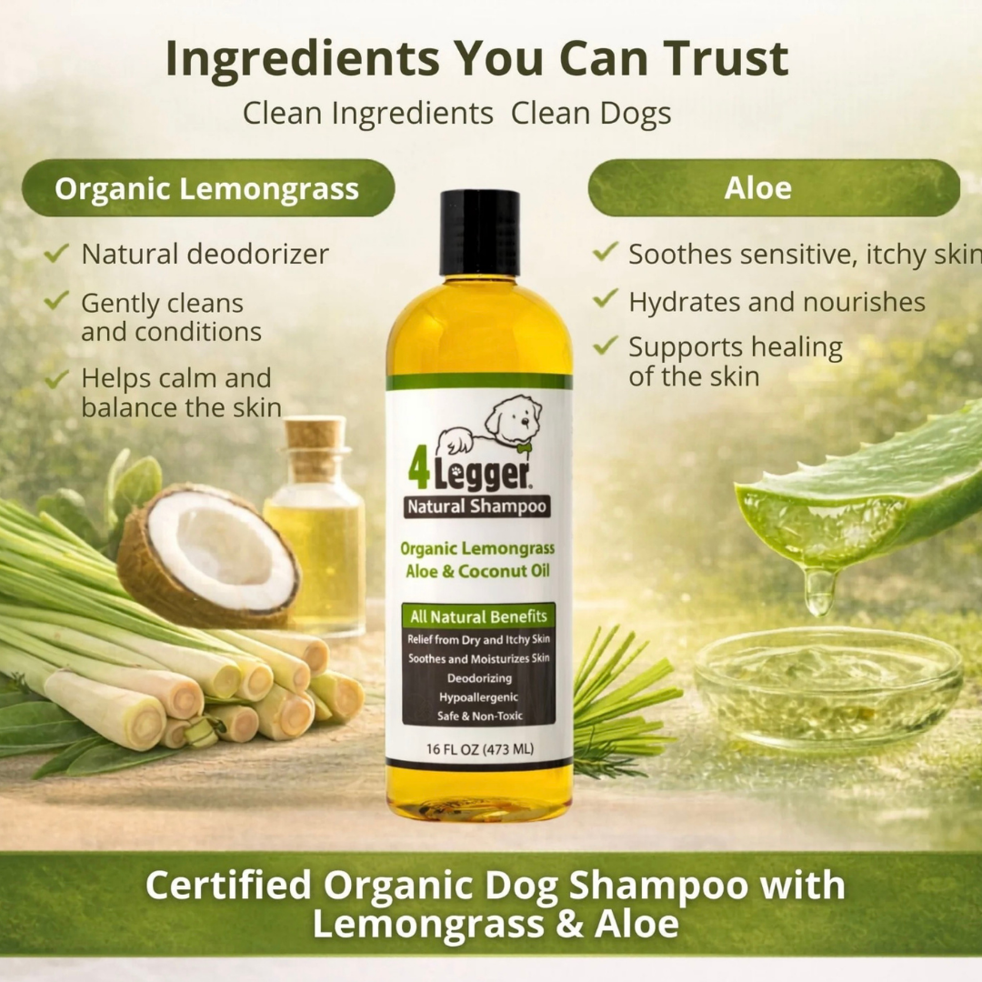 4-Legger Organic Aloe Shampoo | Gentle Care for Sensitive Skin