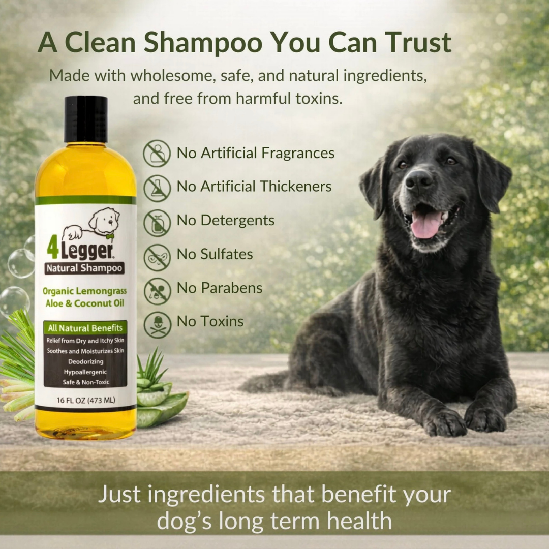 4-Legger Organic Aloe Shampoo | Gentle Care for Sensitive Skin