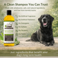 4-Legger Organic Aloe Shampoo | Gentle Care for Sensitive Skin