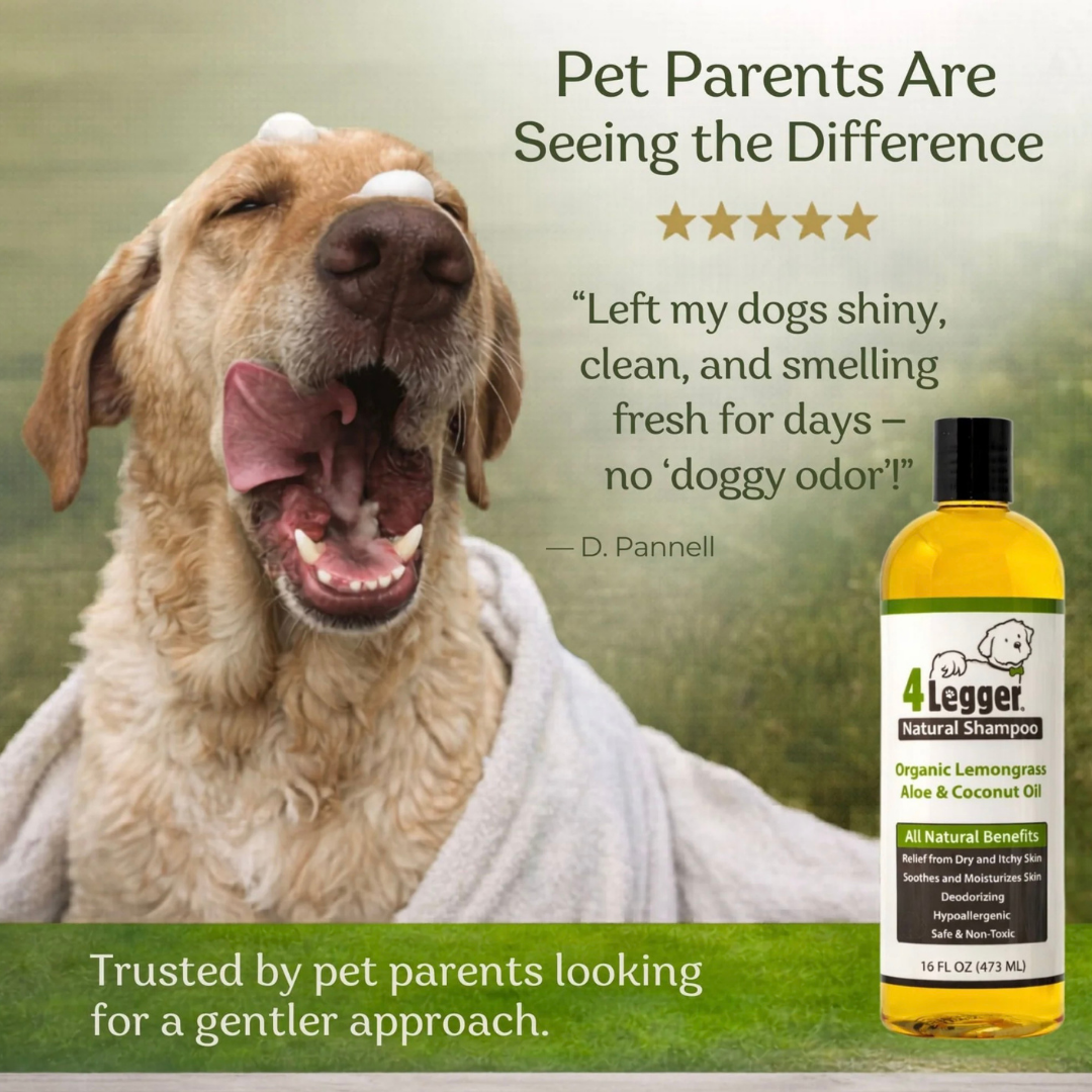 4-Legger Organic Aloe Shampoo | Gentle Care for Sensitive Skin
