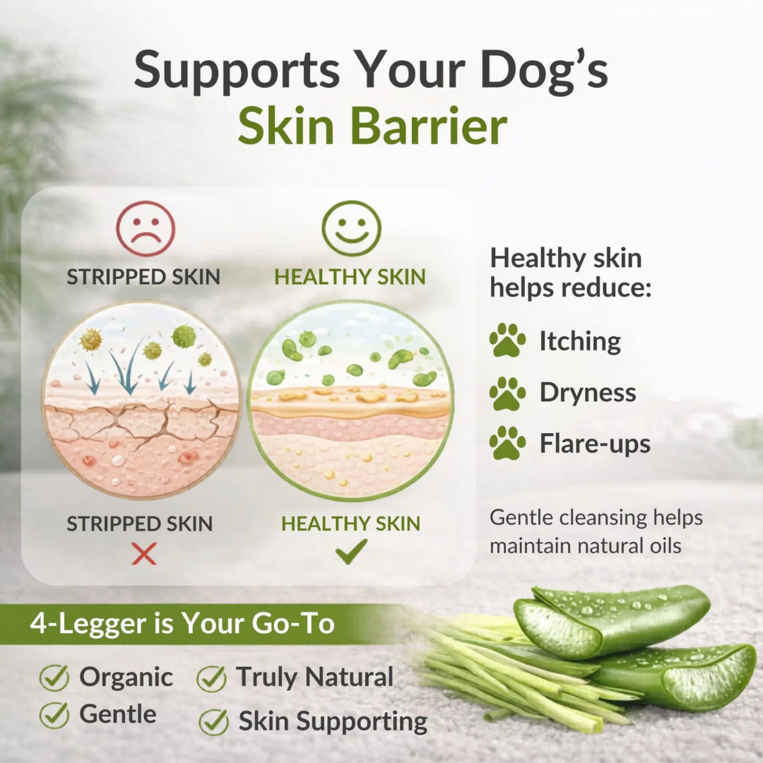4-Legger Organic Aloe Shampoo | Gentle Care for Sensitive Skin