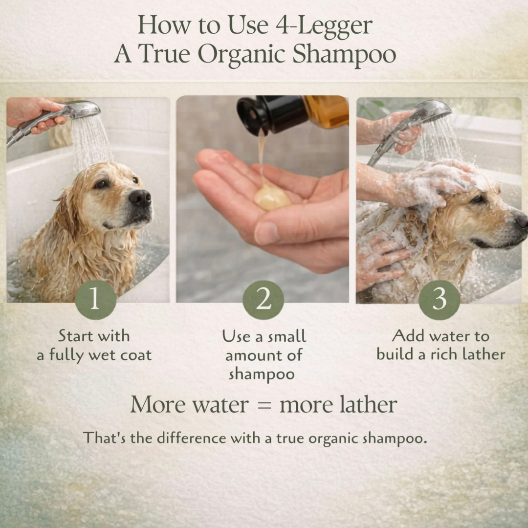 4-Legger Organic Hemp Shampoo | Dry + Sensitive Skin