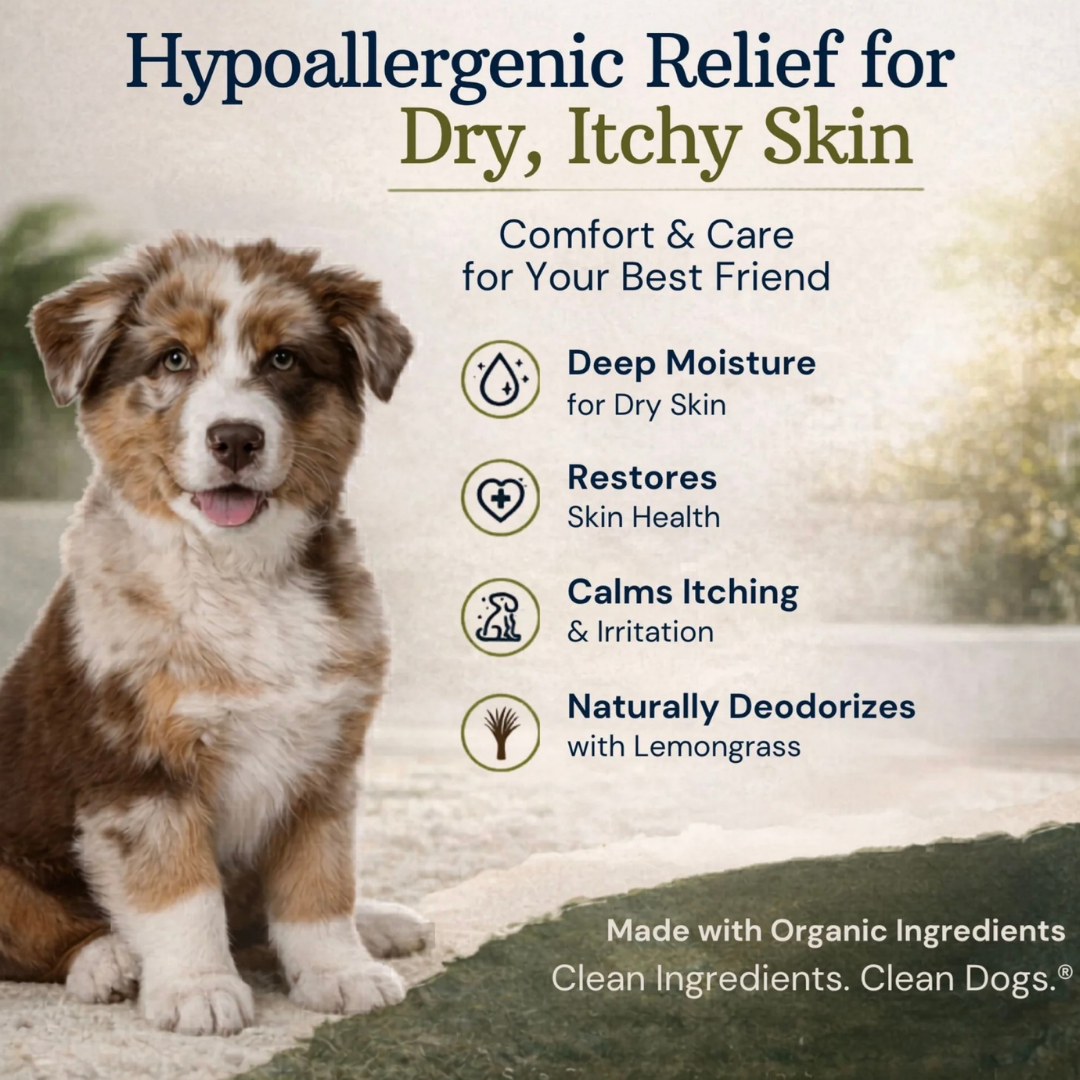 4-Legger Organic Hemp Shampoo | Dry + Sensitive Skin