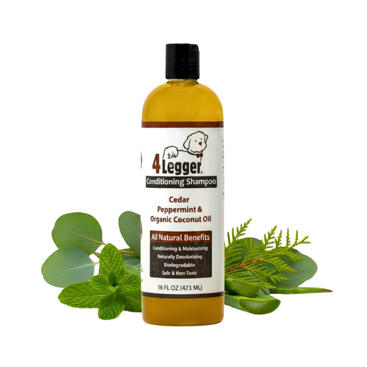 Organic Conditioning Shampoo | Cedar + Peppermint + Eucalyptus