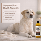4-Legger Organic Conditioning Shampoo | Cedar + Peppermint + Eucalyptus