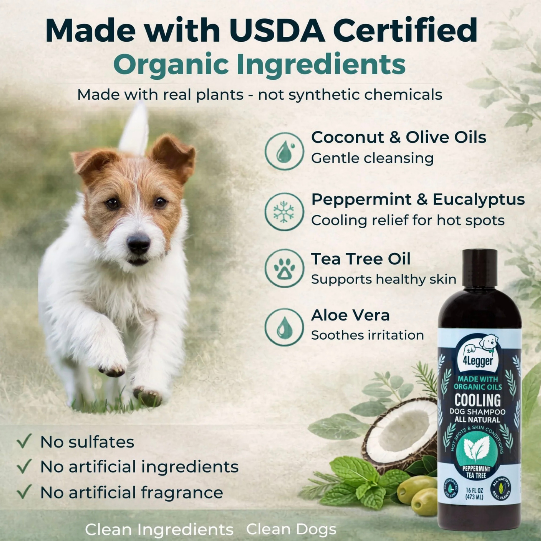 4-Legger Organic Cooling Shampoo | Natural Yeast + Antifungal Support
