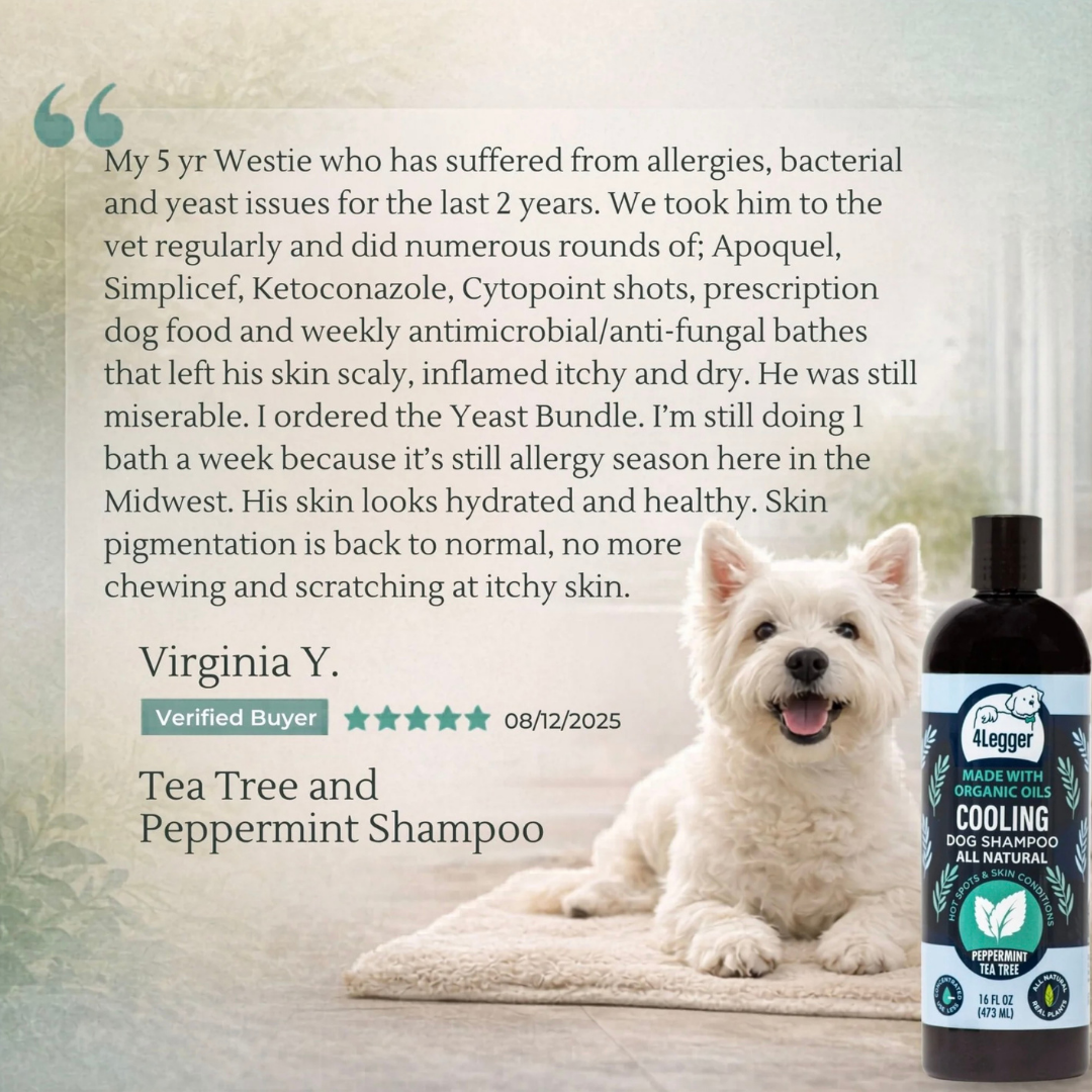4-Legger Organic Cooling Shampoo | Natural Yeast + Antifungal Support