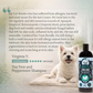 4-Legger Organic Cooling Shampoo | Natural Yeast + Antifungal Support