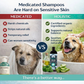Organic Cooling Shampoo | Natural Yeast + Antifungal Support