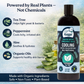 Organic Cooling Shampoo | Natural Yeast + Antifungal Support