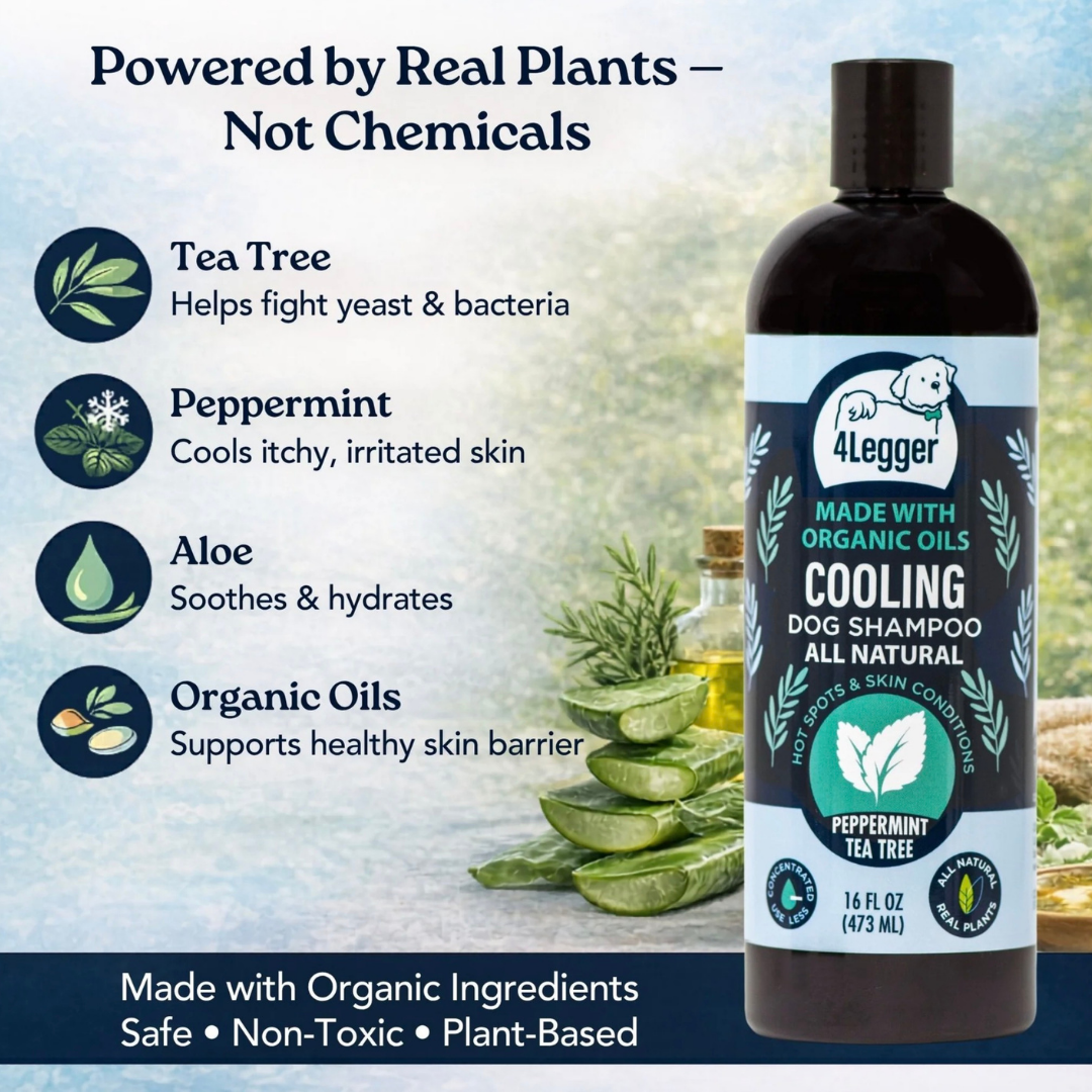 4-Legger Organic Cooling Shampoo | Natural Yeast + Antifungal Support