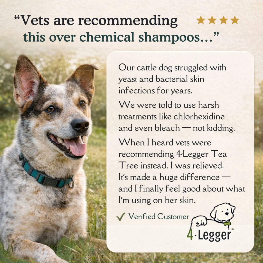 4-Legger Organic Cooling Shampoo | Natural Yeast + Antifungal Support