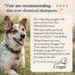 4-Legger Organic Cooling Shampoo | Natural Yeast + Antifungal Support