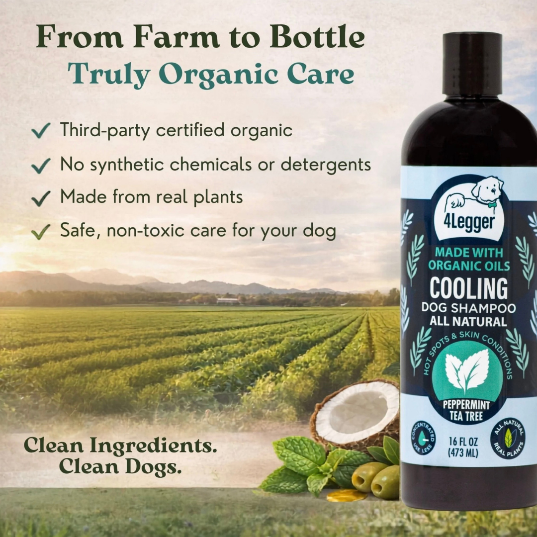 4-Legger Organic Cooling Shampoo | Natural Yeast + Antifungal Support