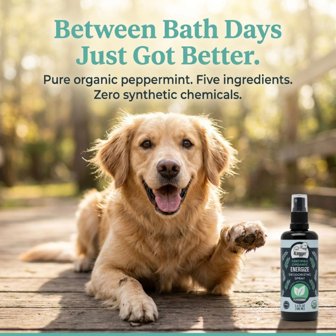 4-Legger Organic Deodorizing Spray | Energize