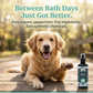 4-Legger Organic Deodorizing Spray | Energize