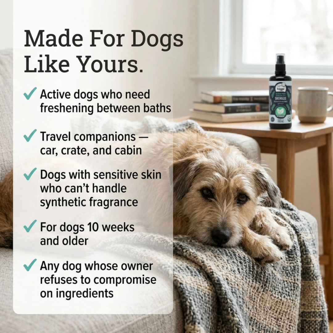 4-Legger Organic Deodorizing Spray | Energize