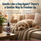 4-Legger Organic Deodorizing Spray | Balance