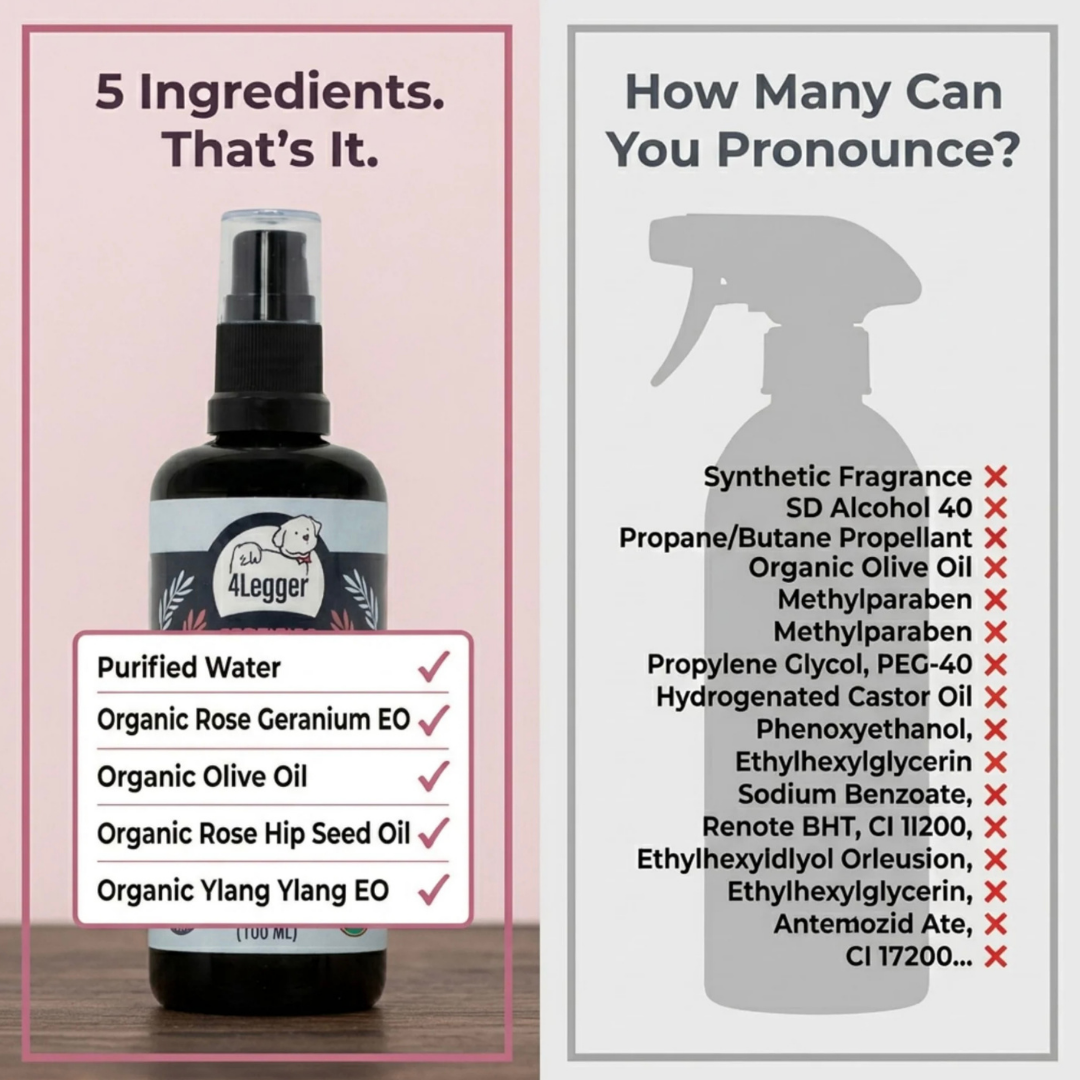 4-Legger Organic Deodorizing Spray | Balance