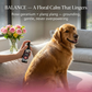 4-Legger Organic Deodorizing Spray | Balance