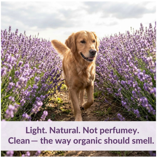 Relax Organic Deodorizing Spray