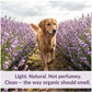 Relax Organic Deodorizing Spray