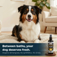 Rejuvenate Organic Deodorizing Spray