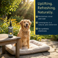 Rejuvenate Organic Deodorizing Spray