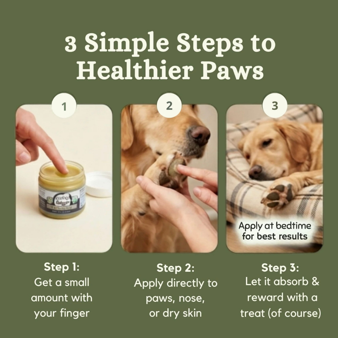 4-Legger Organic Healing Balm | Nose & Paw Pads